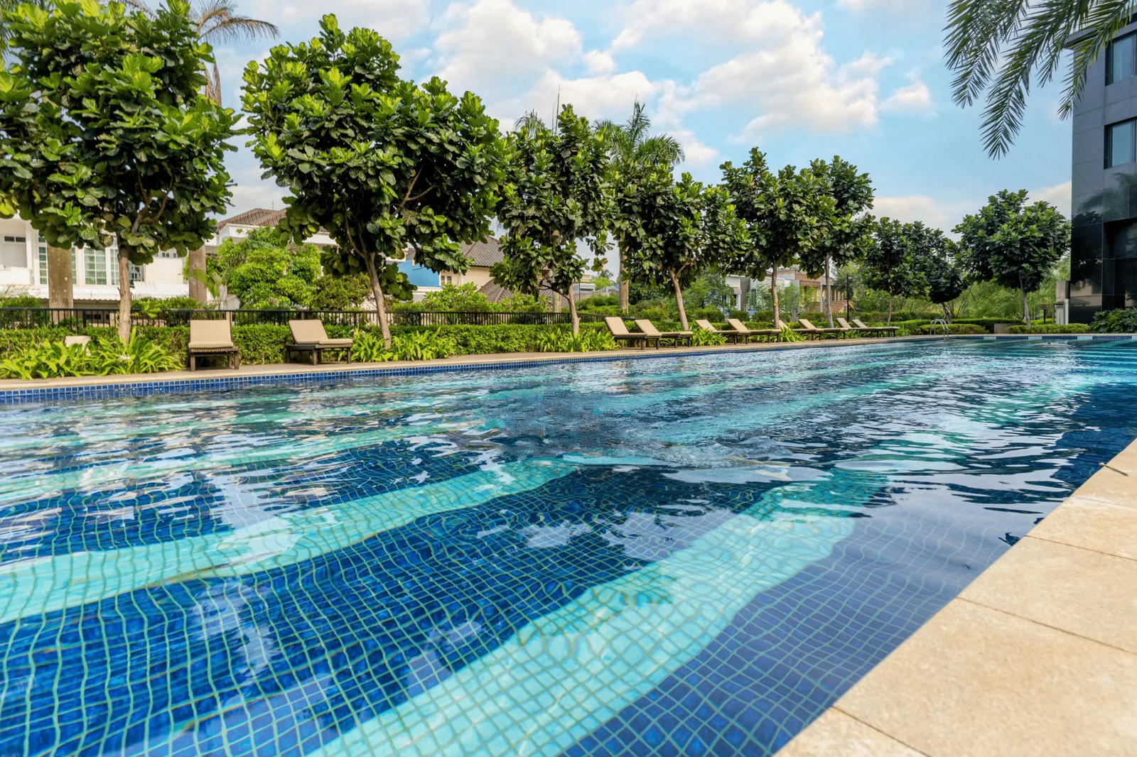 Semi Olympic Pool 50 Meter Southgate Residence